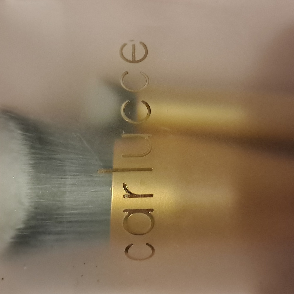 Carlucce cosmetic brush duo